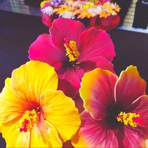 Hawaiian foam flowers